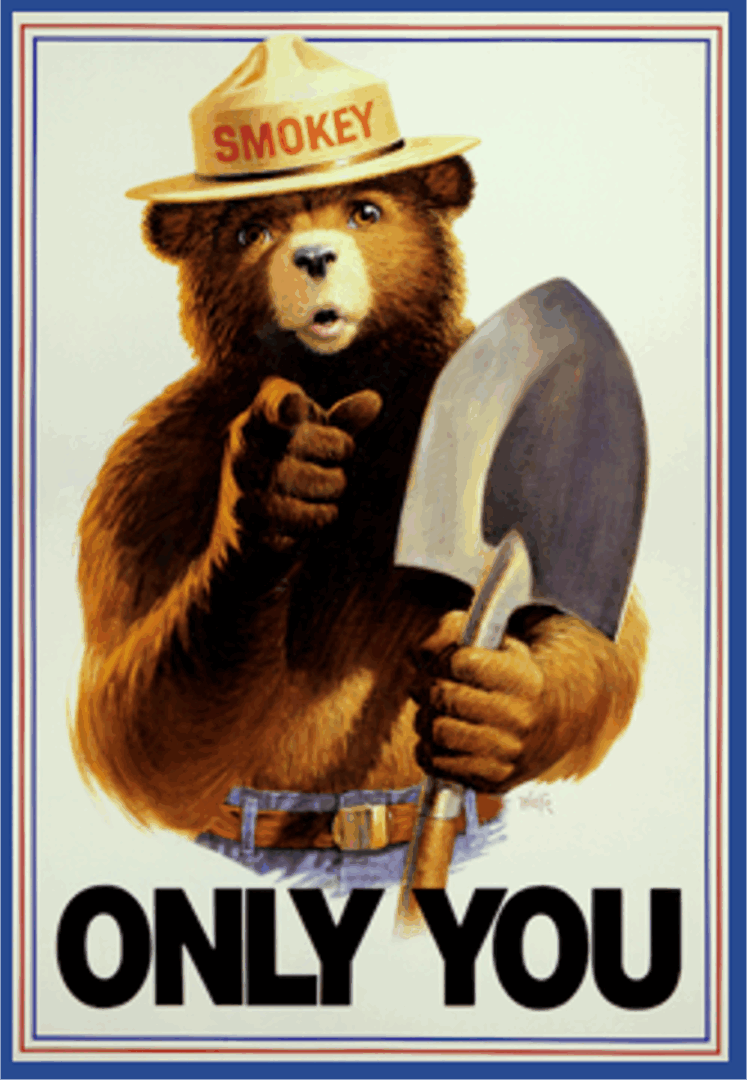 Bear in a hat holding a shovel, pointing forward.